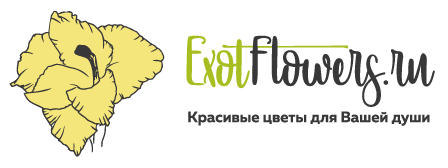 ExotFlowers